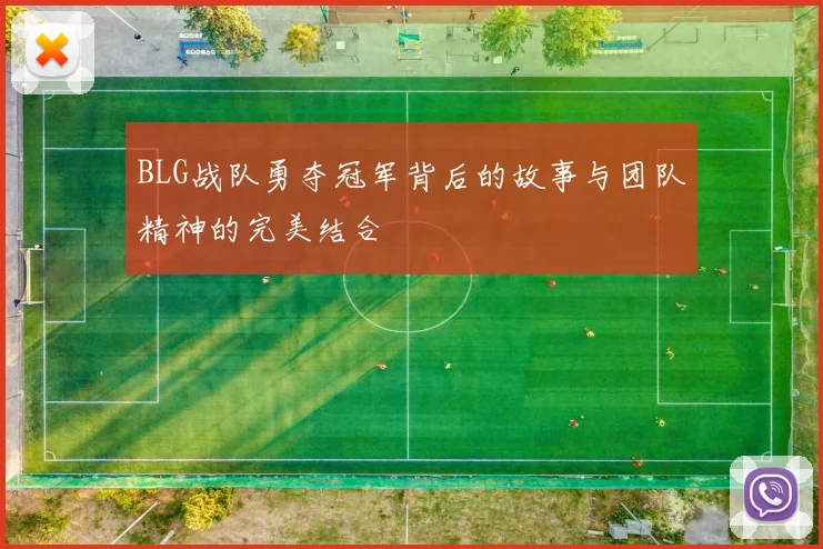 BLG战队勇夺冠军背后的故事与团队精神的完美结合