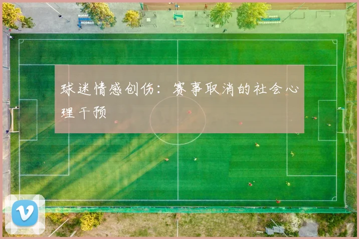 球迷情感创伤：赛事取消的社会心理干预