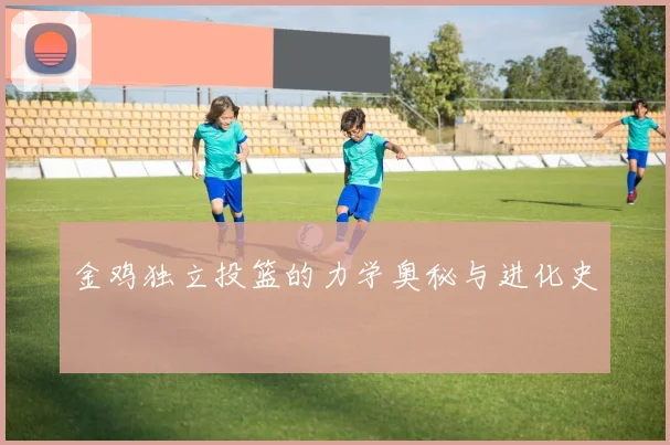 金鸡独立投篮的力学奥秘与进化史