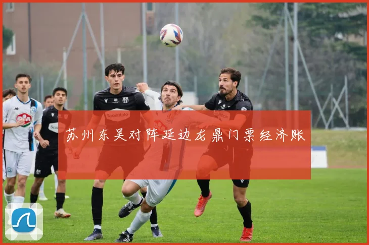 苏州东吴对阵延边龙鼎门票经济账