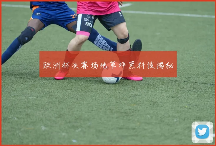 欧洲杯决赛场地草坪黑科技揭秘