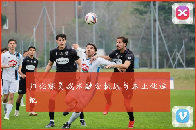 归化球员战术融合挑战与本土化适配