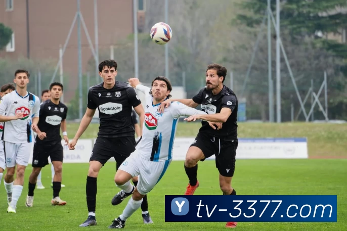 五大联赛风云变幻 逐鹿欧洲顶级足球舞台的激烈角逐与发展趋势