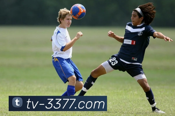 3377APP 体育赛事宣传图